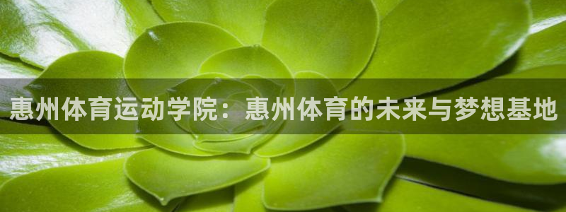 bbin视讯：惠州体育运动学院：惠州体育的未来与梦想基地