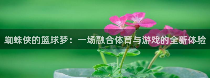 bbin视讯游戏平台