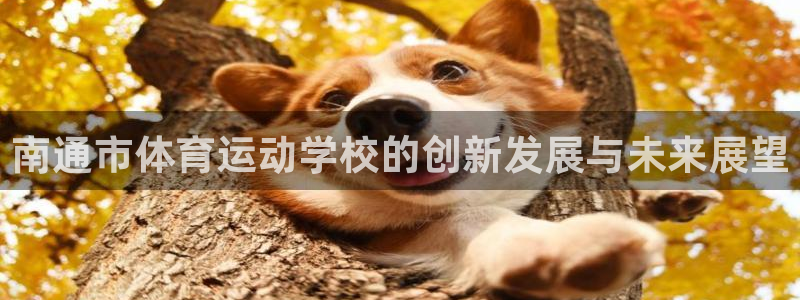 bbin视讯：南通市体育运动学校的创新发展与未来展望
