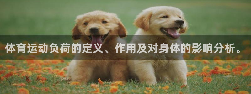 bbin视讯下：体育运动负荷的定义、作用及对身体的影响分析。